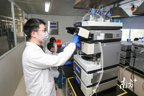 數(shù)說(shuō)坪山 爭(zhēng)拼趕超跑出高質(zhì)量發(fā)展加速度