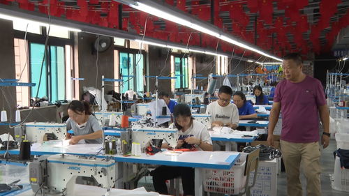 云南云縣 服裝廠開(kāi)在家門(mén)口，掙錢(qián)不再往外走——技術(shù)轉(zhuǎn)讓與咨詢的致富新路